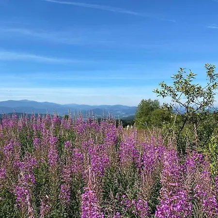 Closer To Heaven, 825m Above Sea, Koskowa Mtn Bogdanowka